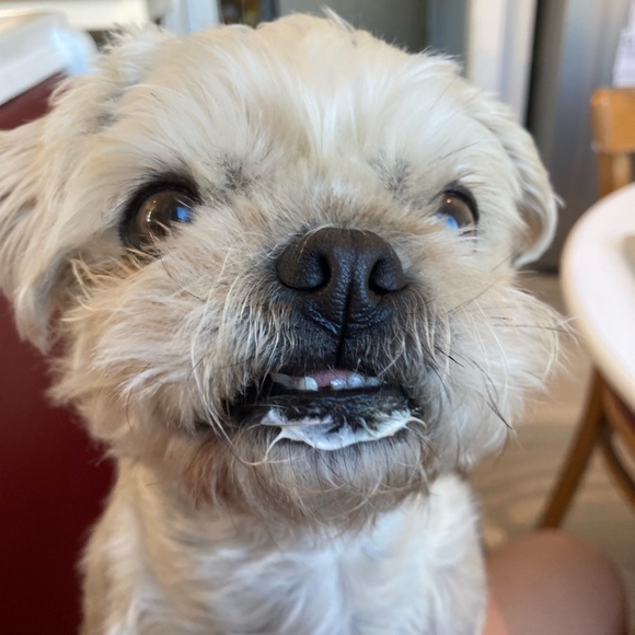 dogeatdog88